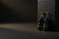 Fan-Inspired Water Bottle Drop Earrings – Black & Gold